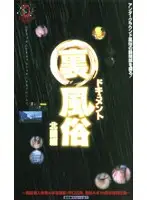 41fy005 - Documentary: Behind the Sex Industry. Northern Provinces Compilation