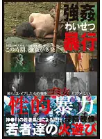 NEWS-45 - Sexual V******e Posting A Video