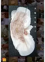 RKS-013 - Filth Collector 2