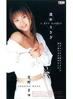 KT580 - Wet Bunny Mayu Yoshino