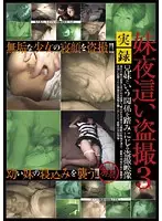 IBW-185 - M****ted Stepsisters Caught on Film 3