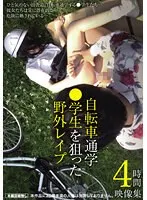 IBW-950Z JAV Movie