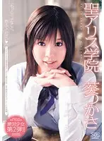 DV-1205 JAV Movie
