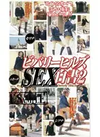 D-554 - Beverly Hills Sex Journal 2