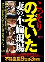 HHH-212 - Secretly Peeking At the Wife's Scene Of Adultery