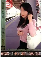 TK-008 - Wife's Adulterous Train Trip Odawara