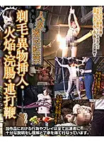 AXDVD-0257R JAV Movie