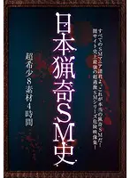 AEIL-354 - The History of Japan's Bizzare S&M