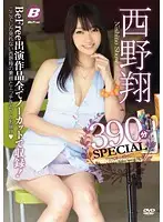BF-290 - Sho Nishino 390 Minute Special