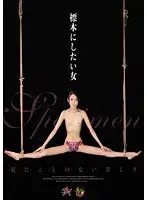 DASD-360 - Model Woman