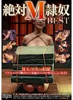DDT-544 - BEST OF Absolute Submissive S***es