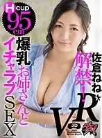 DSVR011 JAV Movie