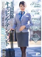 DVMM-245 JAV Movie