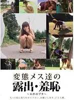EVIS-006 JAV Movie