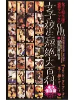 gvg005 JAV Movie