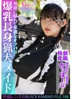 KAMEF-108 JAV Movie