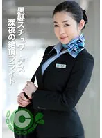 PYU-377 -  Black haired stewardess late night climax flight
