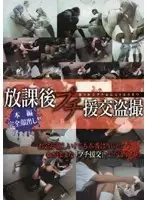 DKTP-35 - After School Little Escort Voyeur