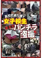 JOS-006 - At a crowded school I get S********l's panty shots without discrimination. Voyeur.