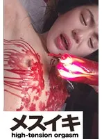 ZZZM-01342 -  A beautiful masochist with a desire to be a complete slave Part.2