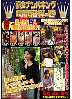 VNDS-689 JAV Movie