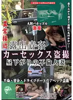 LHBB-098 - Exhibitionists Fucking In The Open Air: Car Sex Voyeur