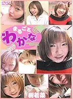 VND-2055 JAV Movie