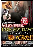 HIST-018 - Cafe Owner's Ultimate Prank! What Will These Female Customers Do When Their Shit Won't Flush? Caught On Hand Held Camera!