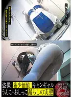 LTJN-903 - Voyeur! Super Rare! Campaign Girl Shitting and Pissing