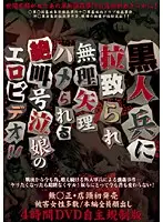 HSGL-001 - Erotic Screaming And Wailing Of Girls Abducted And Relentlessly Fucked By Black Soldiers!!