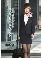 IPZ-522 - A Hot Stewardess's Confinement & R**e Aino Kishi