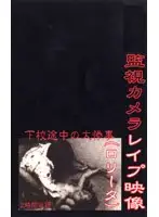 mhv001 - R**e on Hidden Camera (Lolicon)