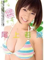 MIDD-935 JAV Movie