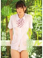 MIGD-435 JAV Movie