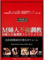 NHSD-010 JAV Movie