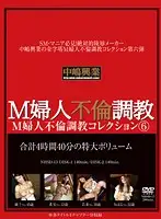 NHSD-013 - Masochistic Lady's Adultery Breaking In Collection 6