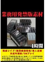 NMFL-001 - Banned From Business Use Edition