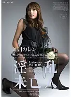 PGD-242 - Debauched Widow Karen Kisaragi