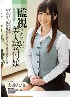 SHKD-565 - Surveillance Of A Beautiful Receptionist Hibiki Otsuki