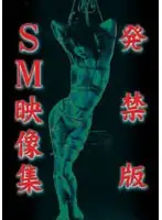 THZL-001 - Banned Version S&M Collection