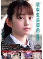 YDNS-006 -  Train Sex Punishment #006